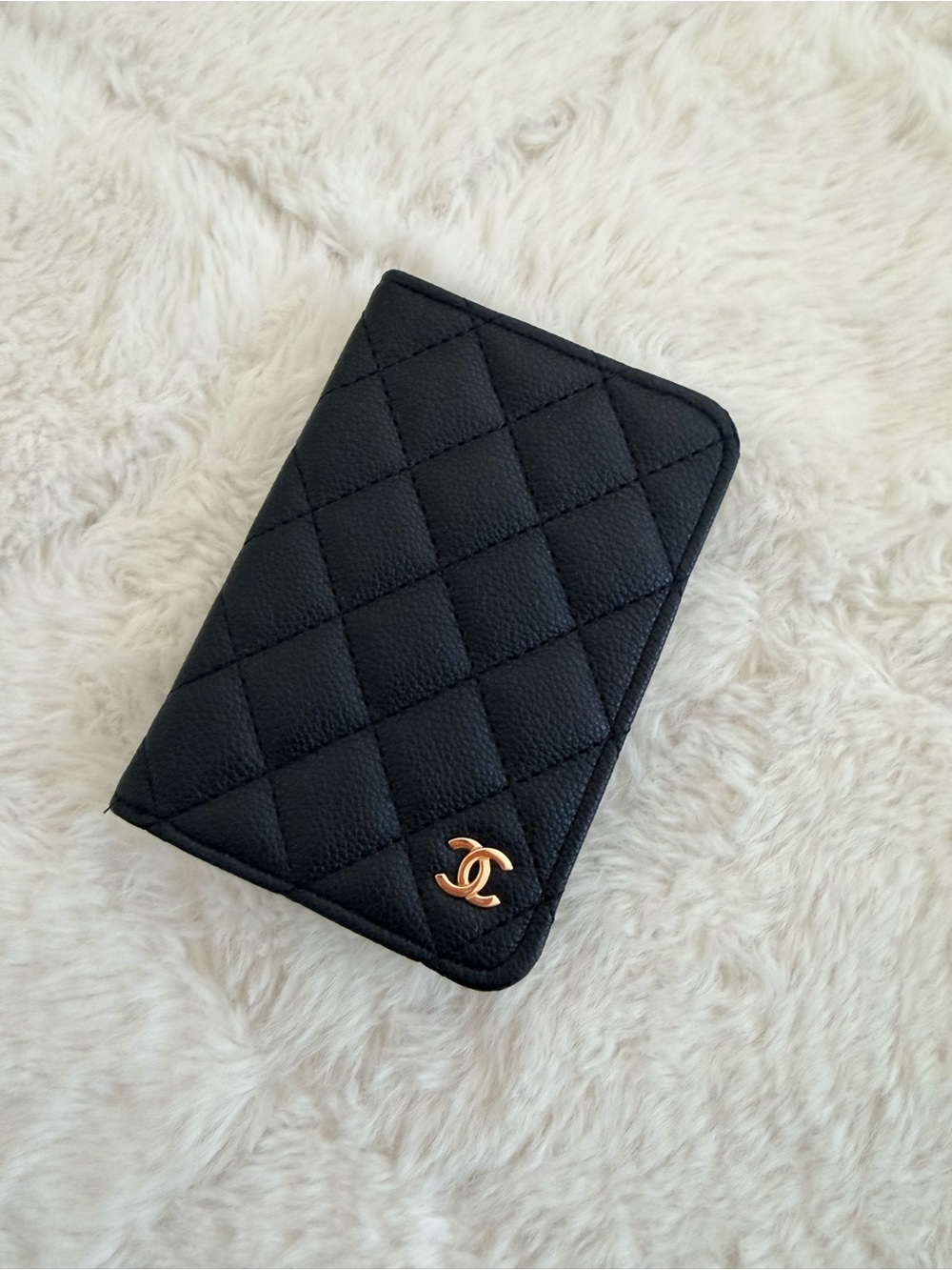 CC passport holder new
